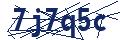 Human Verification Code