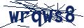 Human Verification Code