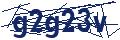 Human Verification Code