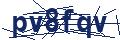 Human Verification Code