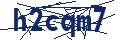 Human Verification Code