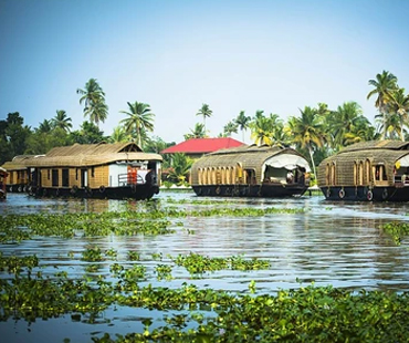 Indiatriangletours- Alleppey