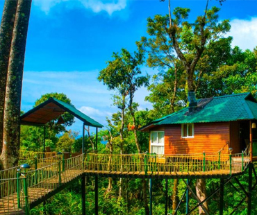 Tree-Houses-Munnar