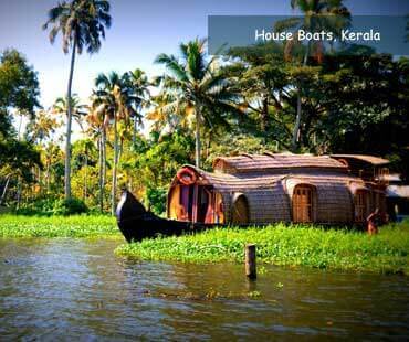 Scenic view of Kerala