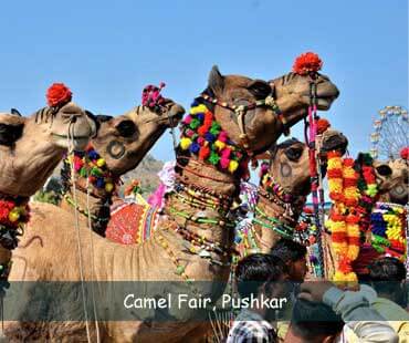 Pushkar in Rajasthan